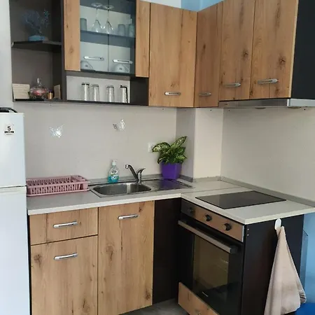 Apartment Flowers Pomorie