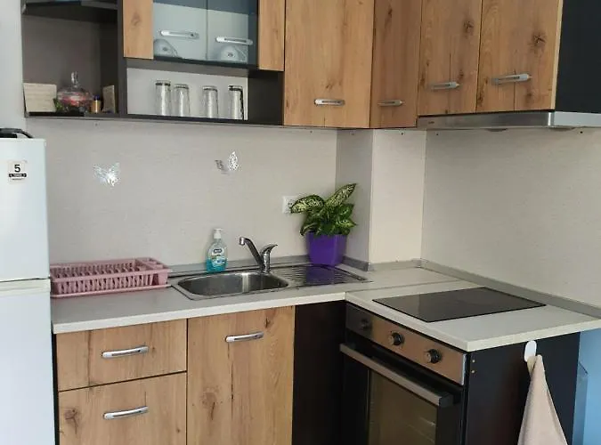 Apartman Flowers Pomorie